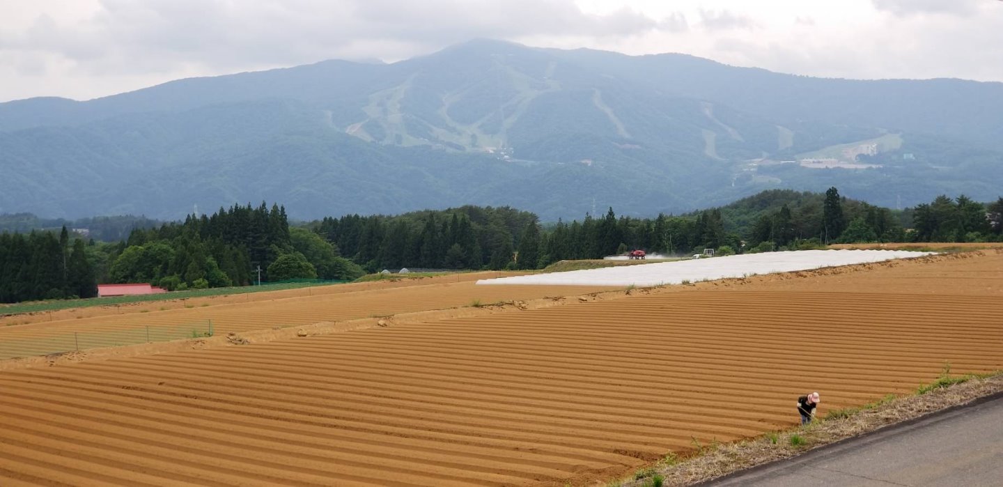 ひるがの高原